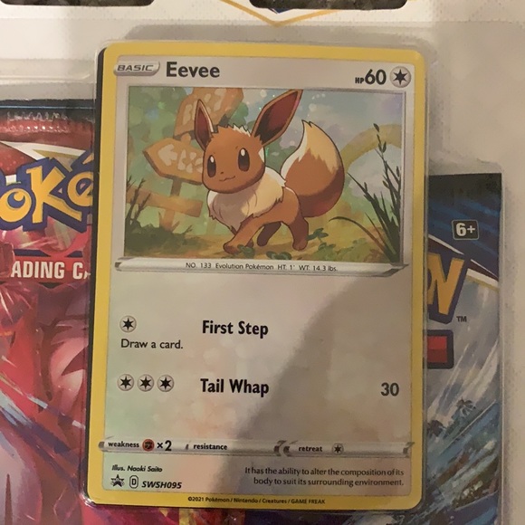 Pokémon Sword&Shield: Battle Styles - Picture 4 of 4